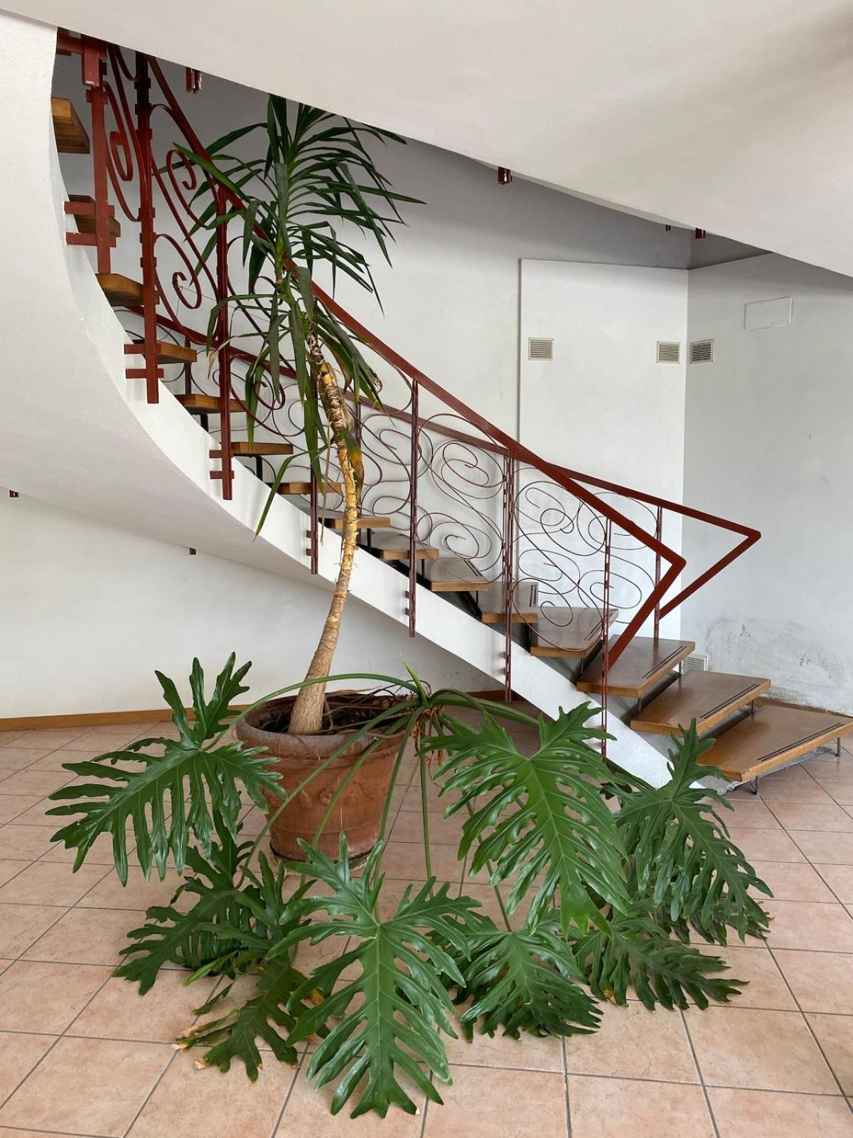 Panoramic Garda Apartment Costermano sul Garda Exterior foto